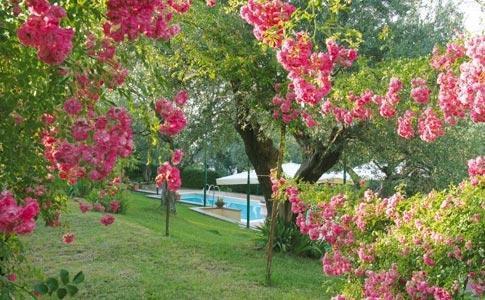 Hotel Villa Vecchia Monte Porzio Catone ภายนอก รูปภาพ
